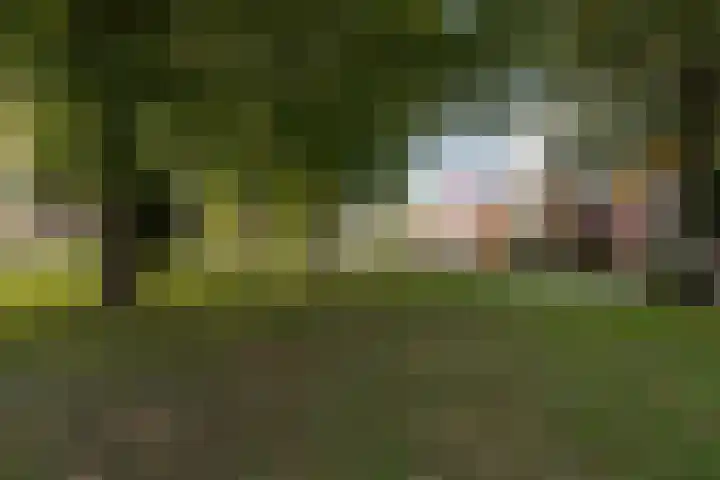 Hid Heroplantsoen 4 Bolsward thumbnail 48
