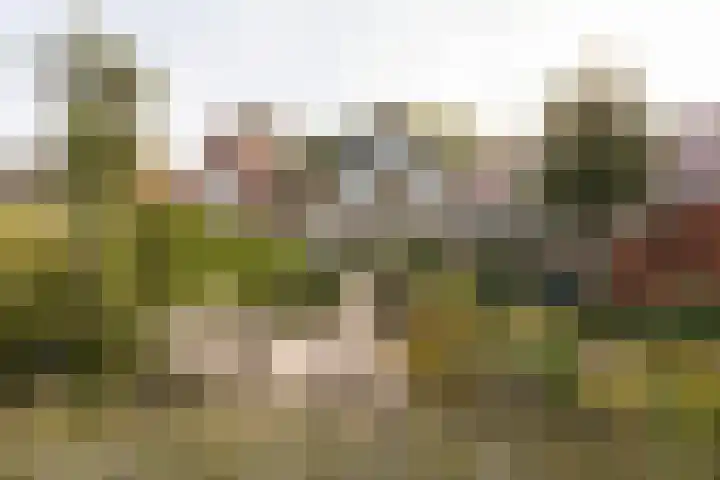 Hid Heroplantsoen 4 Bolsward thumbnail 5