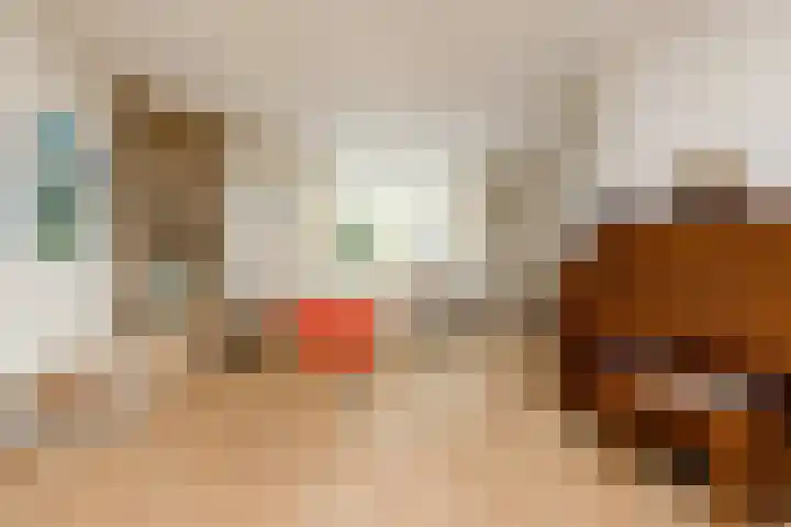 Hid Heroplantsoen 4 Bolsward thumbnail 6