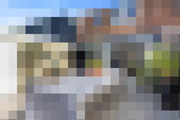 Hid Herostraat 29 Bolsward thumbnail 35