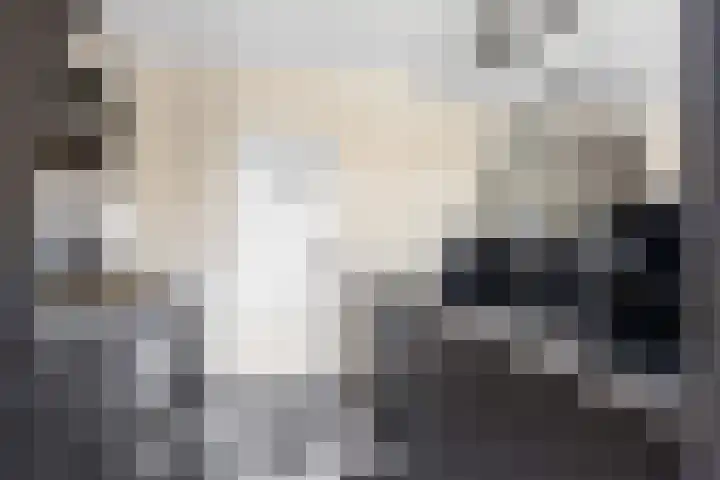 Hid Herostraat 29 Bolsward thumbnail 7