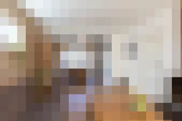 Hidalgolaan 1 Heerhugowaard thumbnail 10