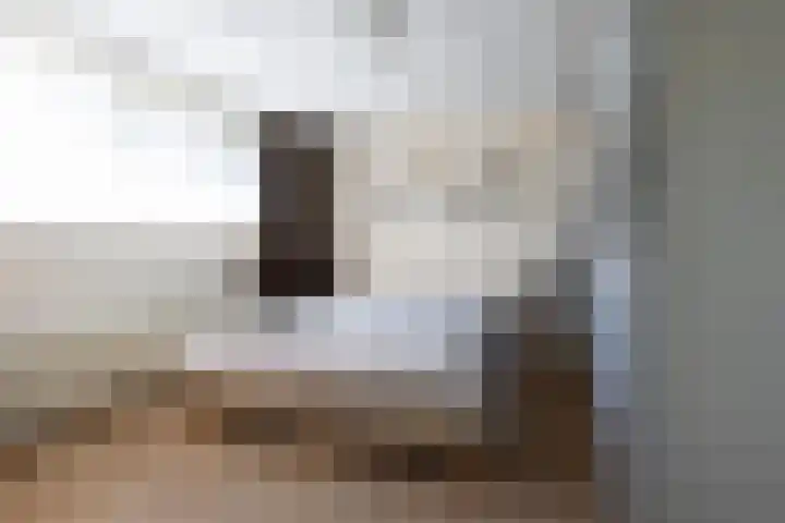Hidalgolaan 1 Heerhugowaard thumbnail 13