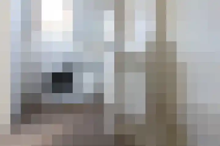 Hidalgolaan 1 Heerhugowaard thumbnail 23