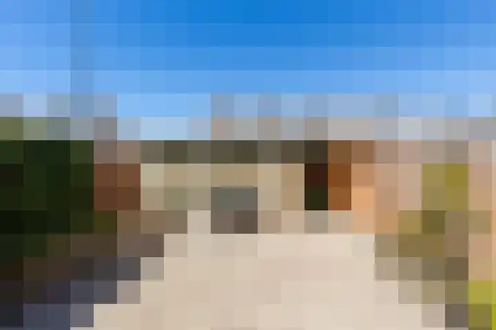 Hidalgolaan 1 Heerhugowaard thumbnail 29