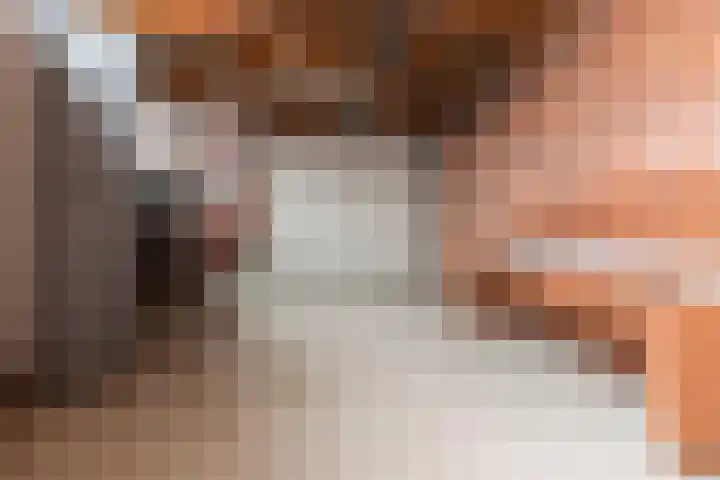 Hidalgolaan 1 Heerhugowaard thumbnail 34