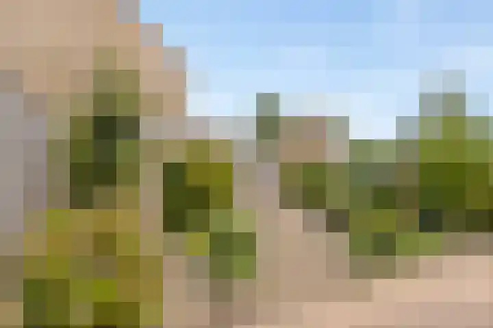 Hidalgopad 11 Spijkenisse thumbnail 24