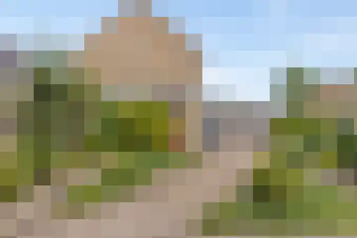 Hidalgopad 11 Spijkenisse thumbnail 25