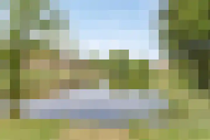 Hidalgopad 11 Spijkenisse thumbnail 29