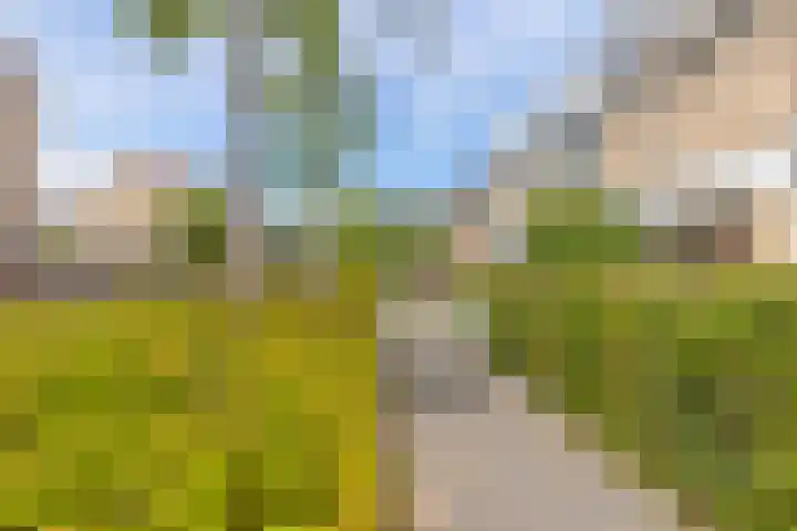 Hidalgopad 11 Spijkenisse thumbnail 4