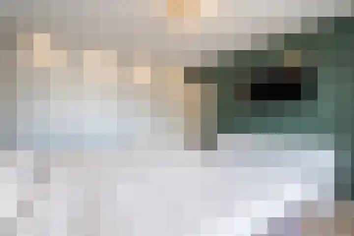Hidalgopad 7 Spijkenisse thumbnail 28