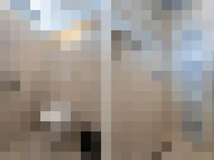 Hidalgopad 7 Spijkenisse thumbnail 31