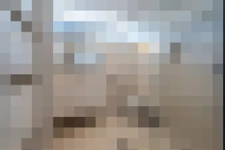 Hidalgopad 7 Spijkenisse thumbnail 4