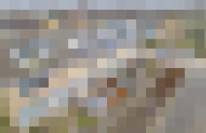 Hidalgopad 7 Spijkenisse thumbnail 6