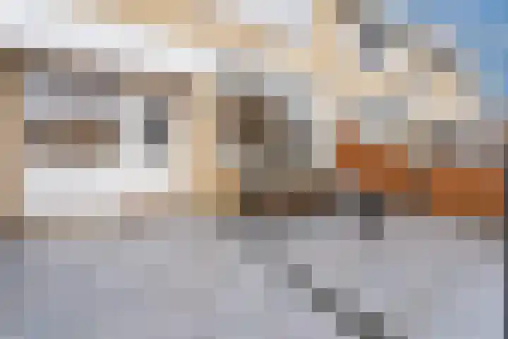 Hidalgopad 7 Spijkenisse thumbnail 8