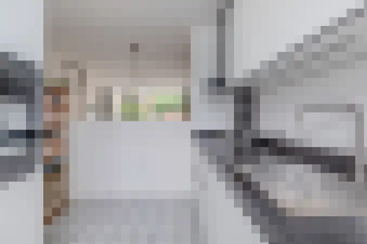 Hiddemaheerd 156 Groningen thumbnail 21