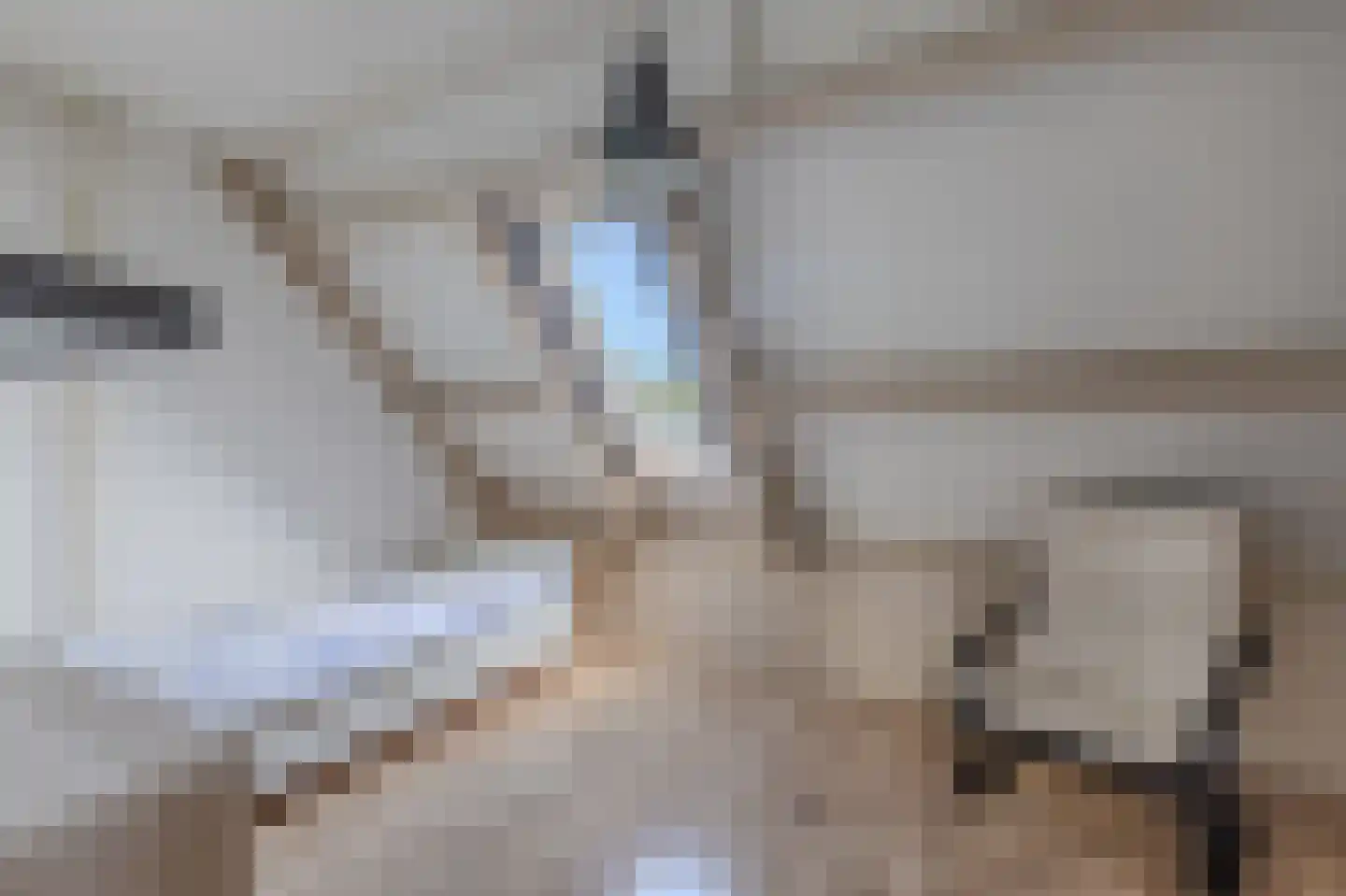 Hiddemaheerd 156 Groningen thumbnail 25