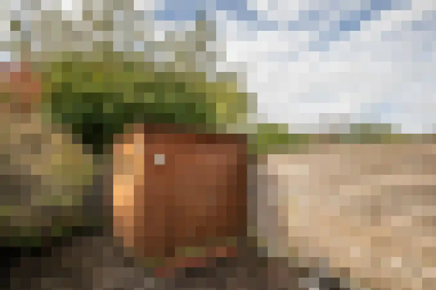 Hiddemaheerd 156 Groningen thumbnail 33