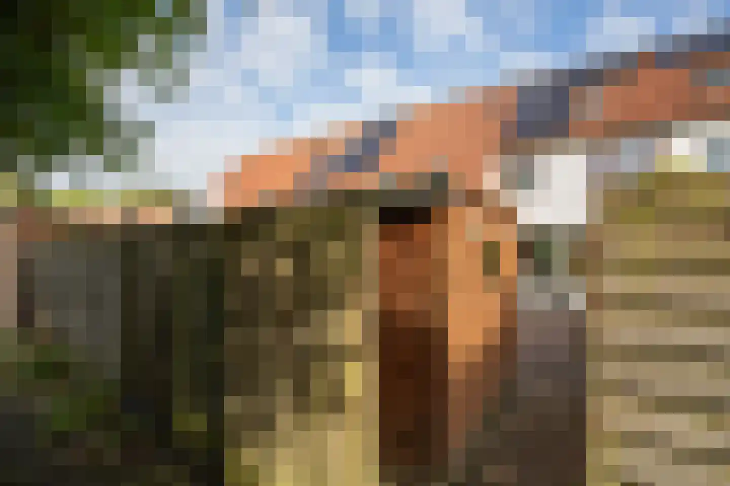Hiddemaheerd 156 Groningen thumbnail 34