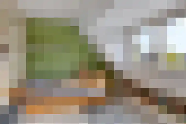 Hiddemaheerd 16 Groningen thumbnail 21