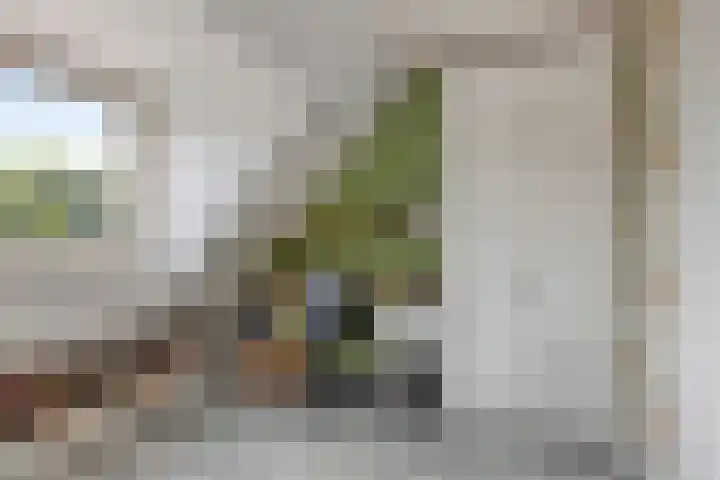 Hiddemaheerd 16 Groningen thumbnail 22
