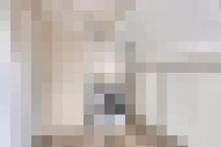 Hiddemaheerd 16 Groningen thumbnail 23