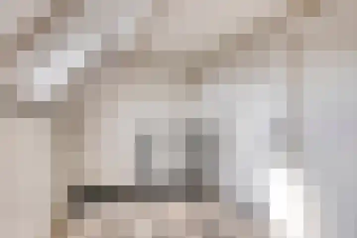 Hiddemaheerd 16 Groningen thumbnail 24