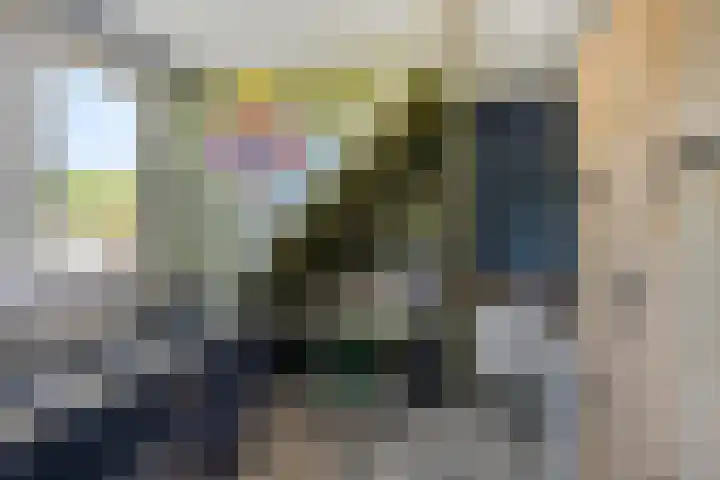 Hiddemaheerd 16 Groningen thumbnail 26