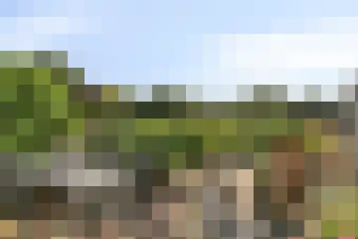 Hiddemaheerd 16 Groningen thumbnail 27
