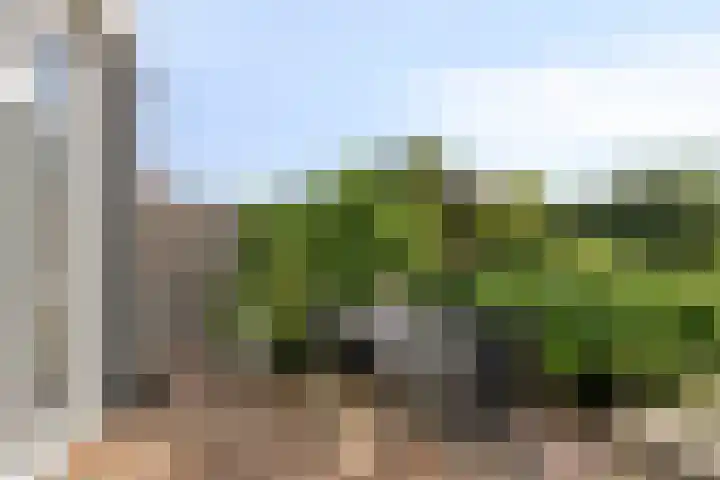 Hiddemaheerd 16 Groningen thumbnail 28