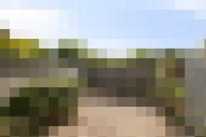 Hiddemaheerd 16 Groningen thumbnail 30