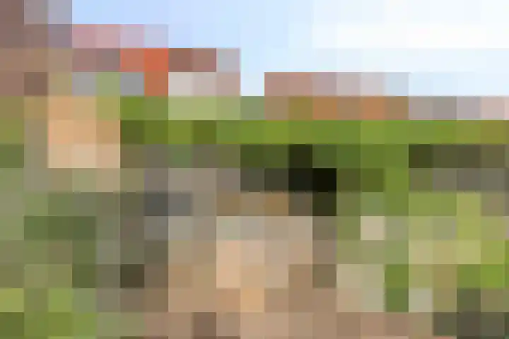 Hiddemaheerd 16 Groningen thumbnail 31