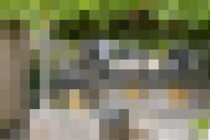 Hiddemaheerd 16 Groningen thumbnail 32