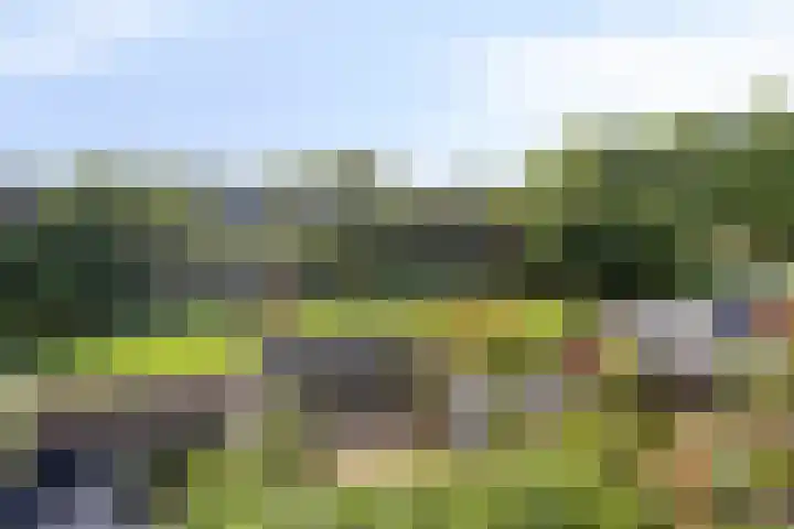 Hiddemaheerd 16 Groningen thumbnail 35