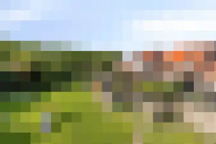 Hiddemaheerd 16 Groningen thumbnail 36