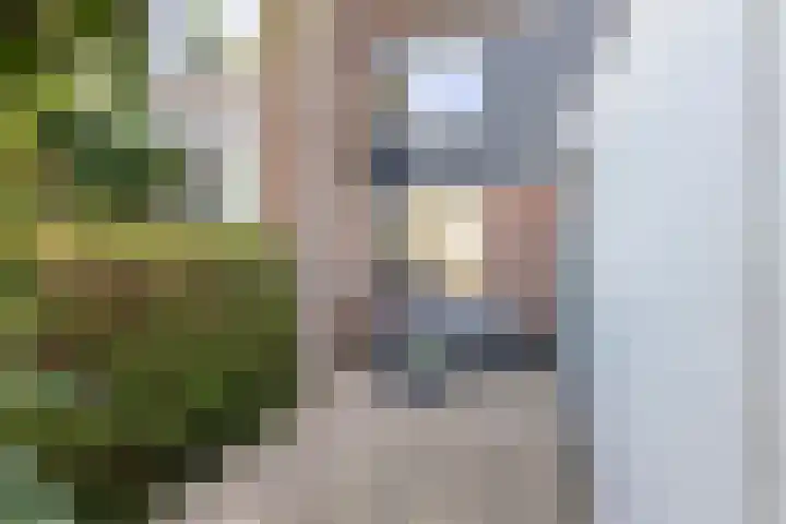 Hiddemaheerd 16 Groningen thumbnail 41