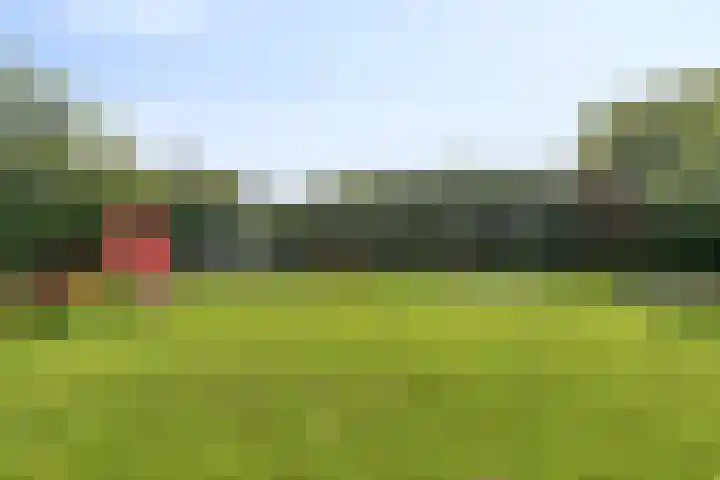Hiddemaheerd 16 Groningen thumbnail 43