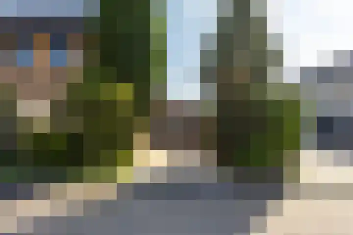 Hiddemaheerd 177 Groningen thumbnail 10