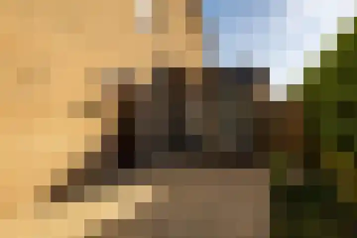 Hiddemaheerd 177 Groningen thumbnail 11