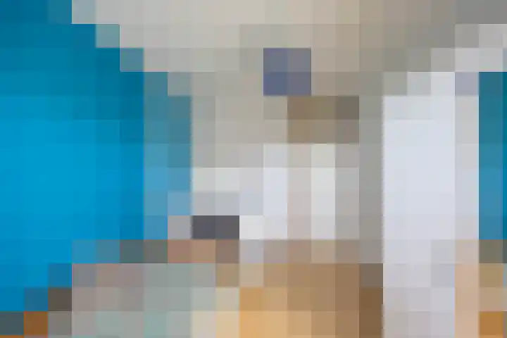 Hiddemaheerd 177 Groningen thumbnail 32