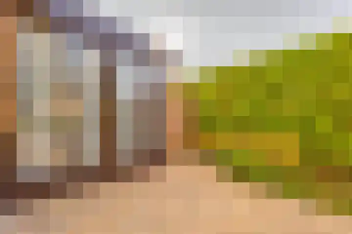 Hiddemaheerd 177 Groningen thumbnail 48