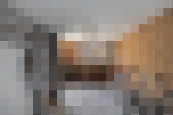 Hiddemaheerd 177 Groningen thumbnail 49