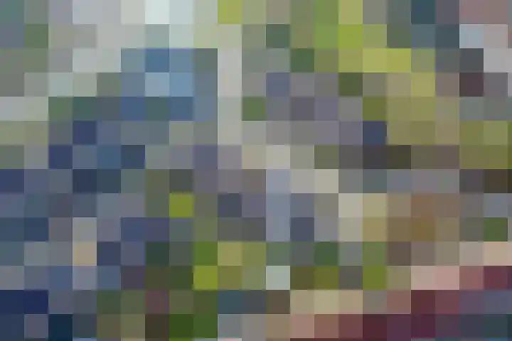 Hiddemaheerd 177 Groningen thumbnail 53