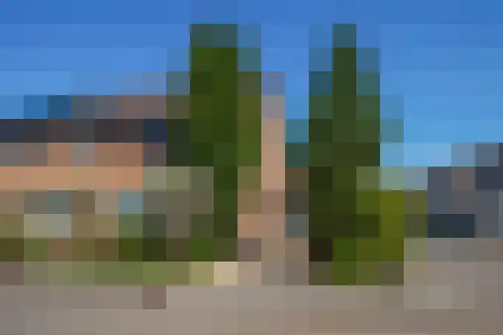 Hiddemaheerd 177 Groningen thumbnail 55