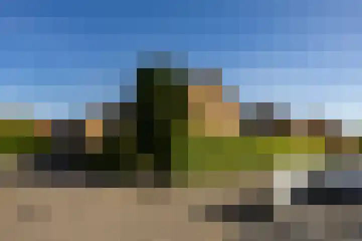 Hiddemaheerd 177 Groningen thumbnail 7