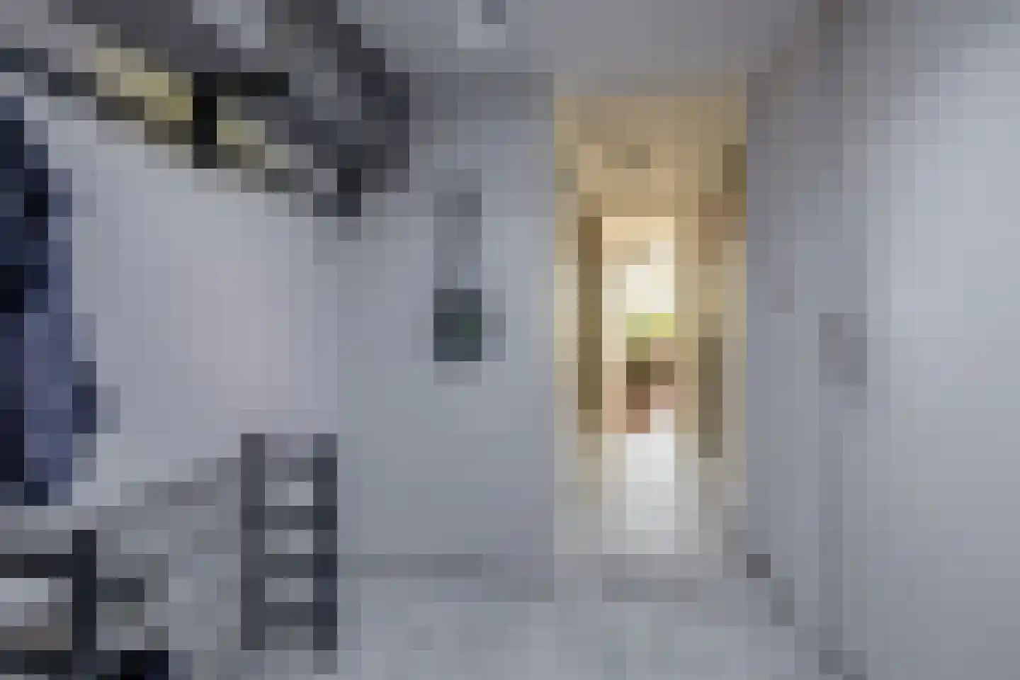 Hiddemaheerd 195 Groningen thumbnail 10