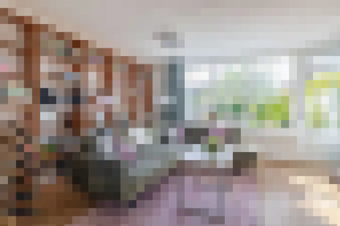 Hiddemaheerd 195 Groningen thumbnail 13