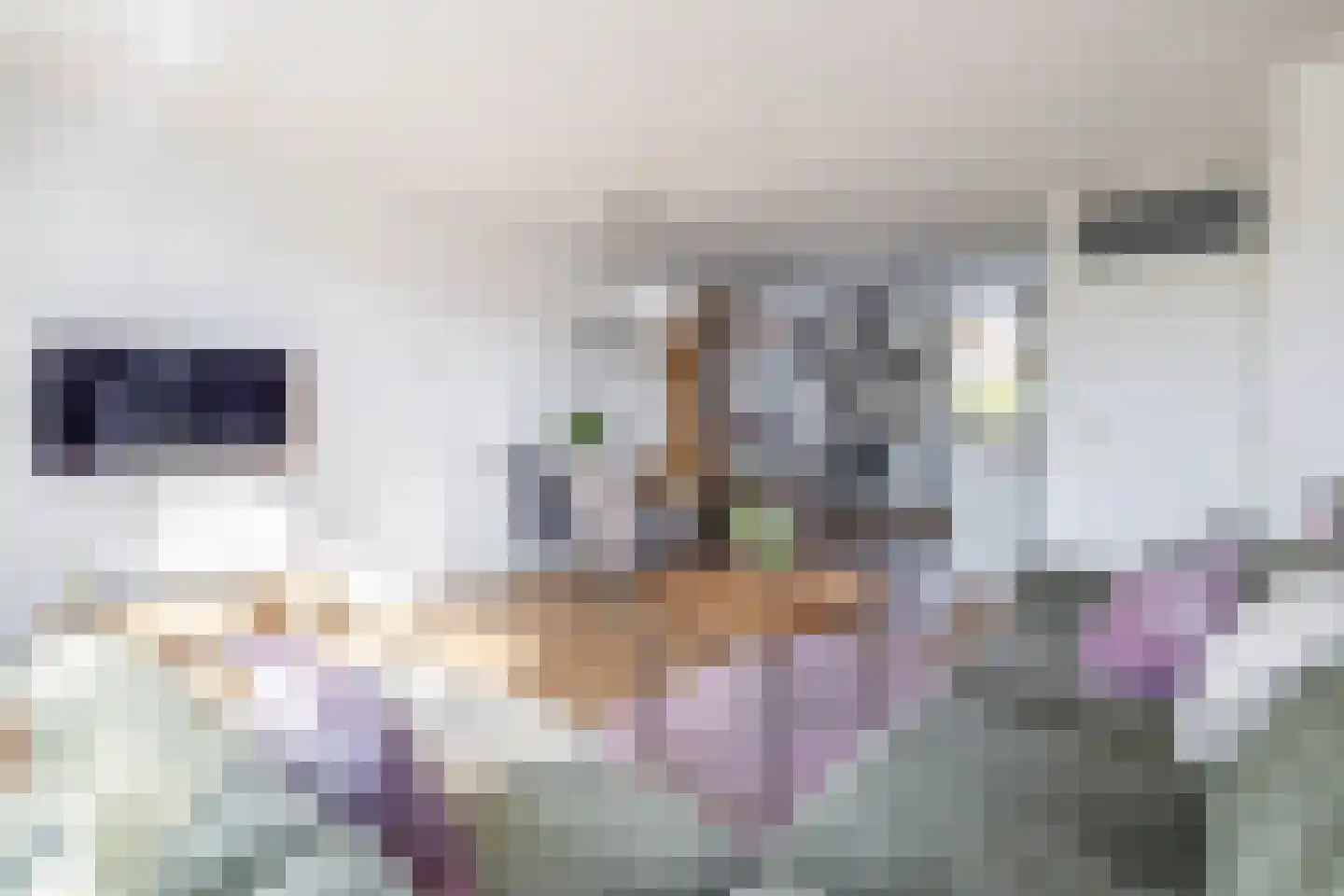 Hiddemaheerd 195 Groningen thumbnail 14