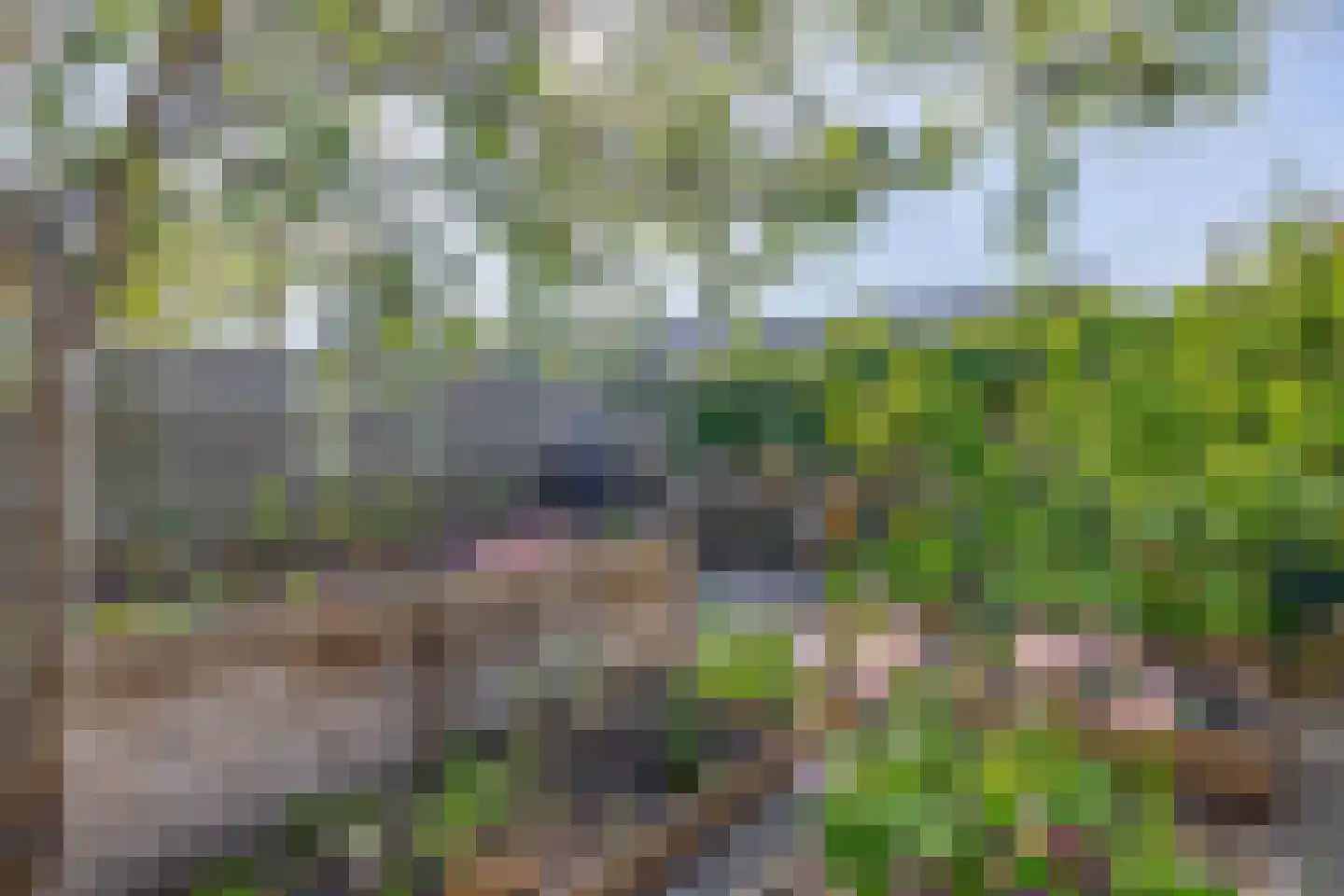 Hiddemaheerd 195 Groningen thumbnail 21