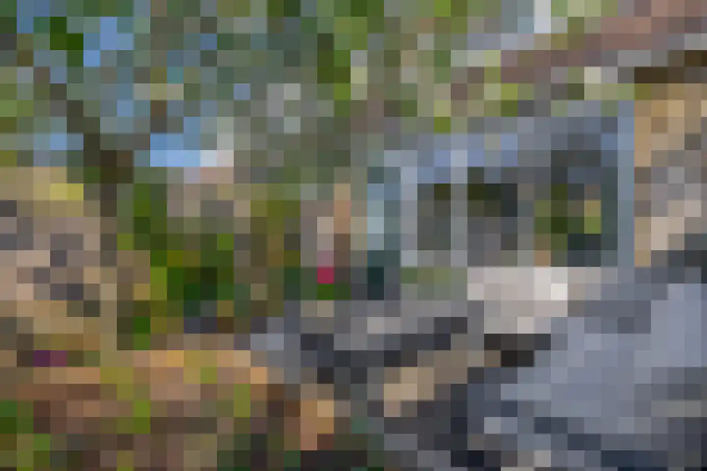 Hiddemaheerd 195 Groningen thumbnail 24